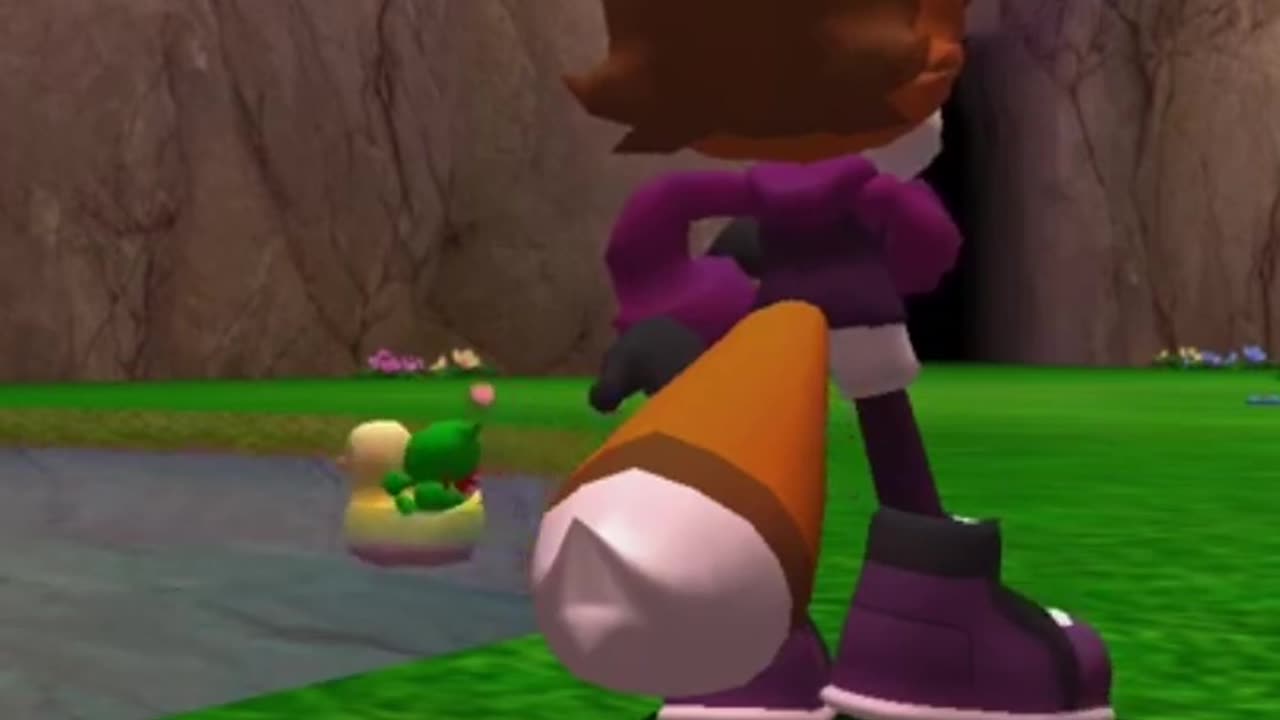 Chao Rides a Ducky