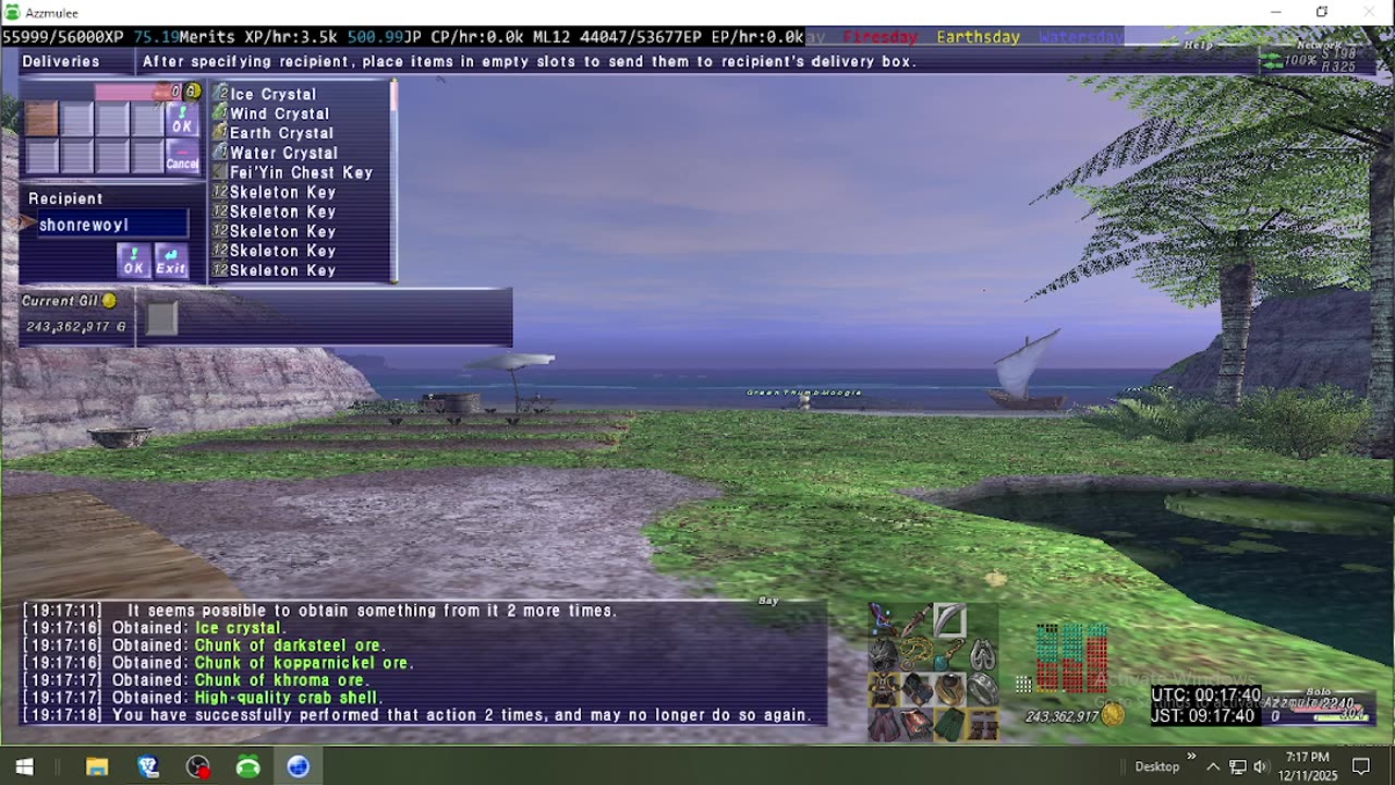 Playing Final Fantasy XI Online