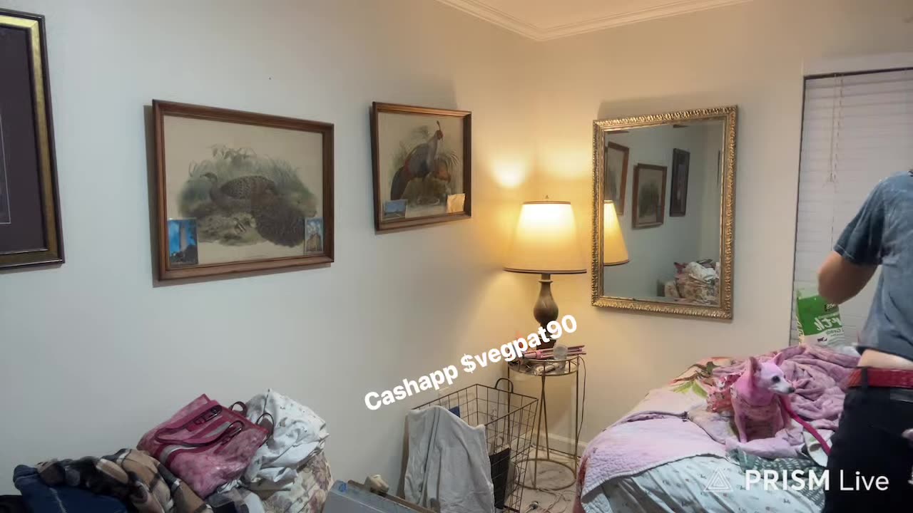 11/14/25 Vegan Patriot VOD: They say that misery loves misery; my favorite songs