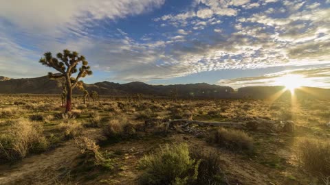 Title: Timelapse of Joshua Tree Clouds and Sunset Near West Entrance – Public Domain