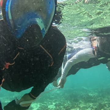 Morning Snorkeling with My Son 🌊🐠 | Expat in the Philippines