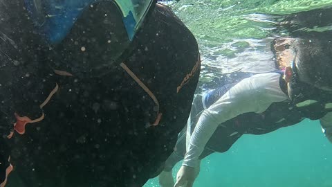 Morning Snorkeling with My Son 🌊🐠 | Expat in the Philippines
