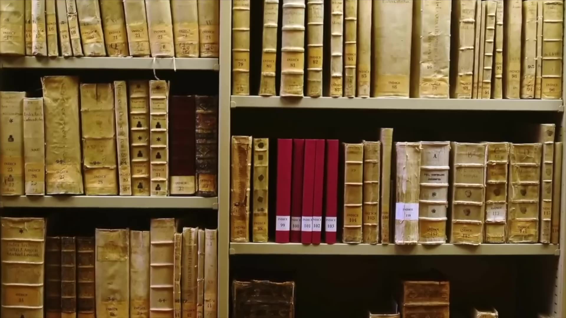 Man Records Alien Entity He Found Inside A Crashed Meteorite In Panama