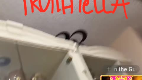 TRINA B YOU NOR DOT WILL GET A DIME THE FACILITY HAS ALREADY BEEN NOTIFED YOU PUT HER LOCATION ON SOCIAL MEDIA AND YOUR BLOOD FAMILY MEMBER POSTED DOT PICTURES ON SOCIAL MEDIA & I AM SURE THEY HAVE GIVEN THAT INFORMATION TO THEIR ATTORNEYS