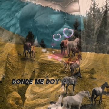 REFLEXIONES 💫 🤍