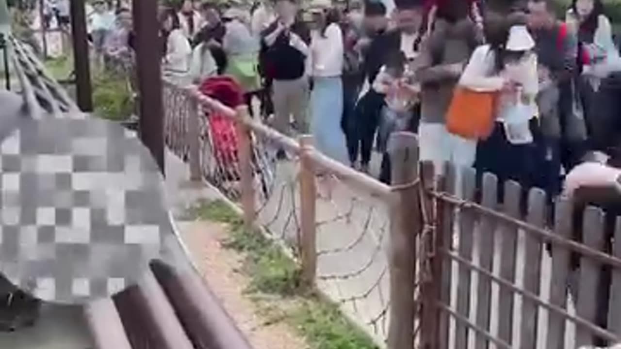 Hippo Farts
