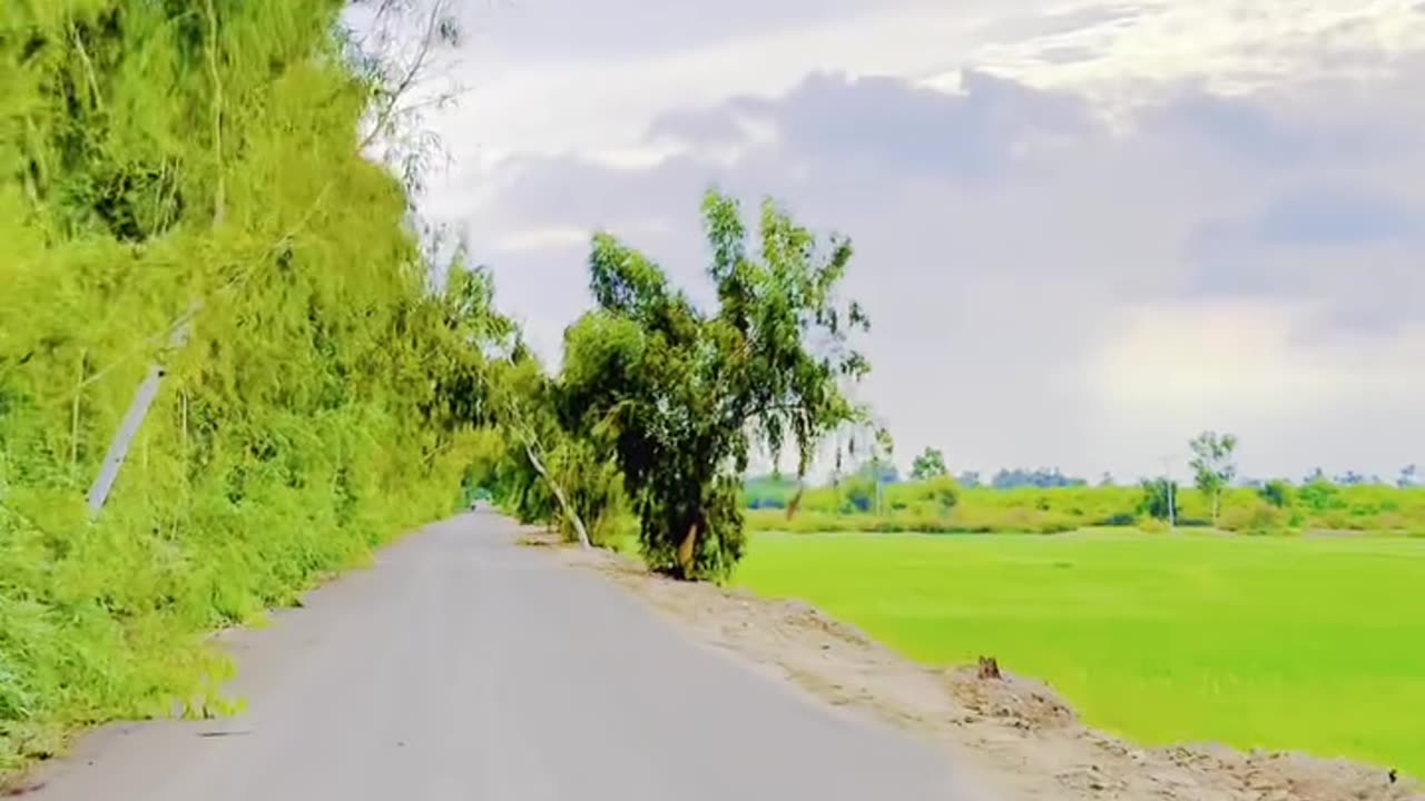 Amazing Weather Village #maxrecords #larkana #sindh #pakistan #villagelife #nature #village #sindhi