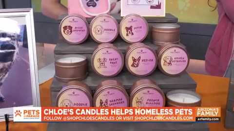 Pets on Parade (Full Episode) January