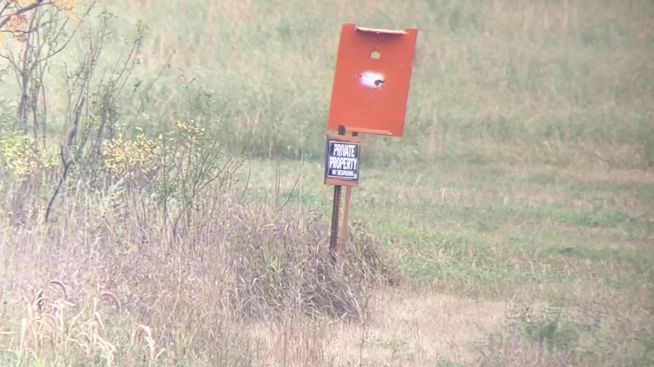 55 grain ammo comparison at 380 yards.