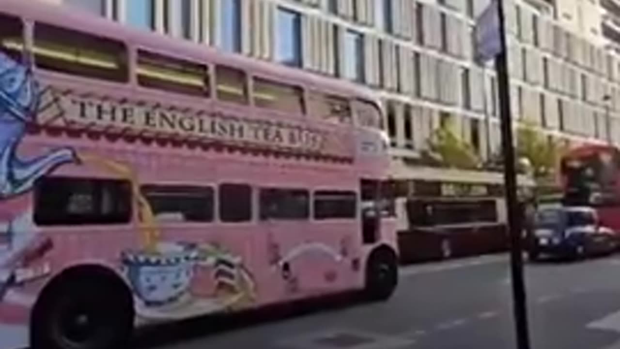 White Culture is Beautiful