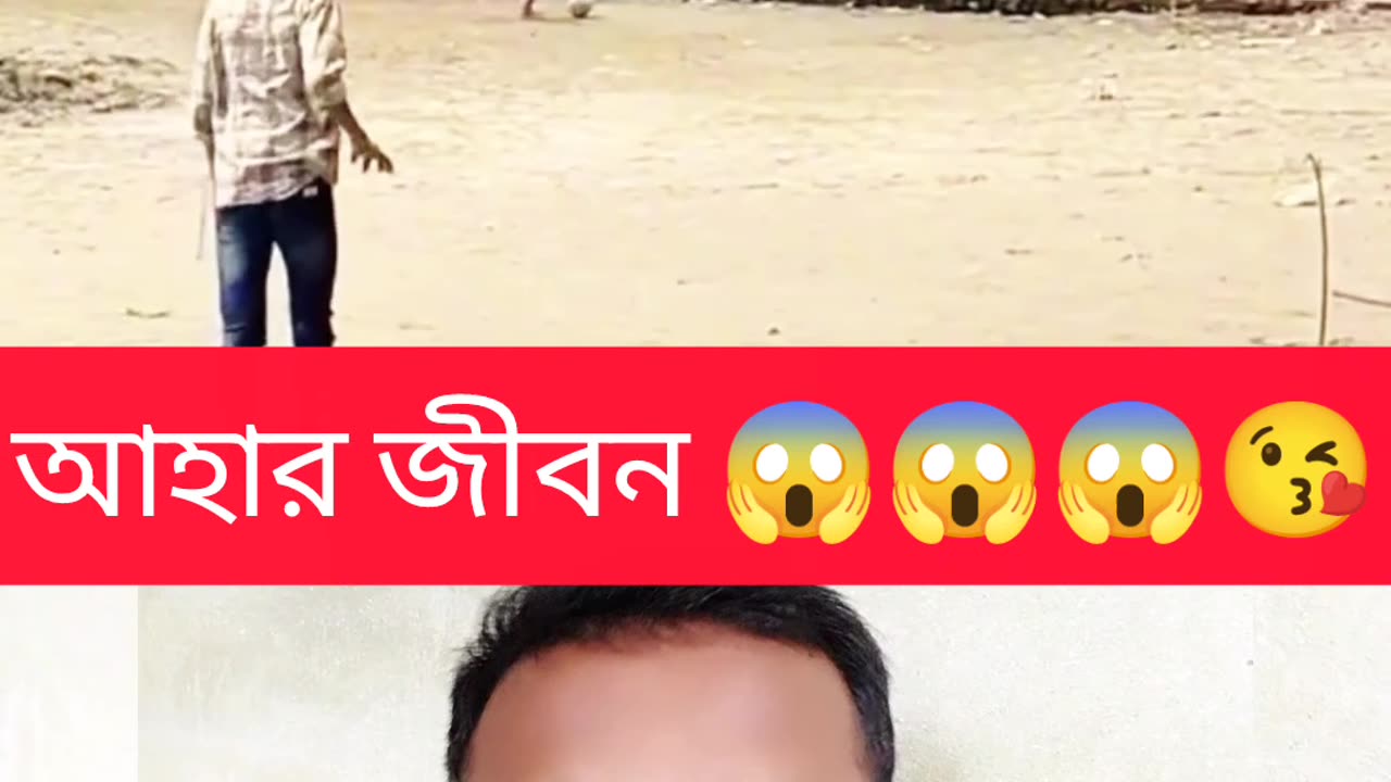 “Tractor Accident 😱 এক নিমিষেই সব শেষ 🚜💥”