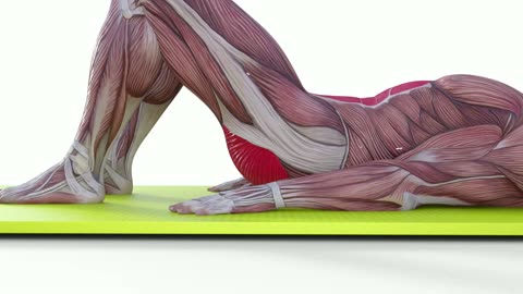 Pelvic Tilts for Core Strength & Lower Back Relief — Simple but Powerful!