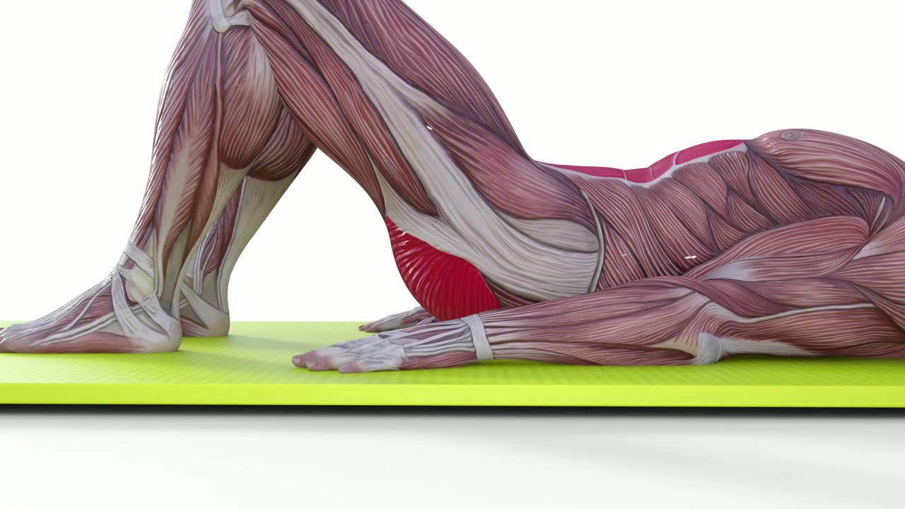 Pelvic Tilts for Core Strength & Lower Back Relief — Simple but Powerful!