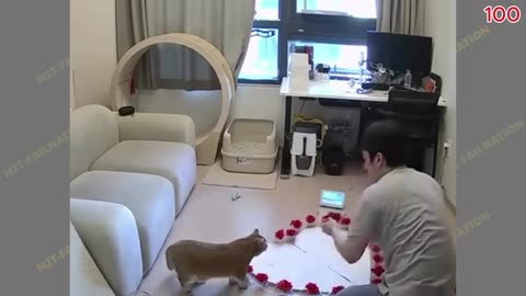 Top 100 Funniest Videos of All Time 😂😁 Try Not To Laugh || Memes Part 7