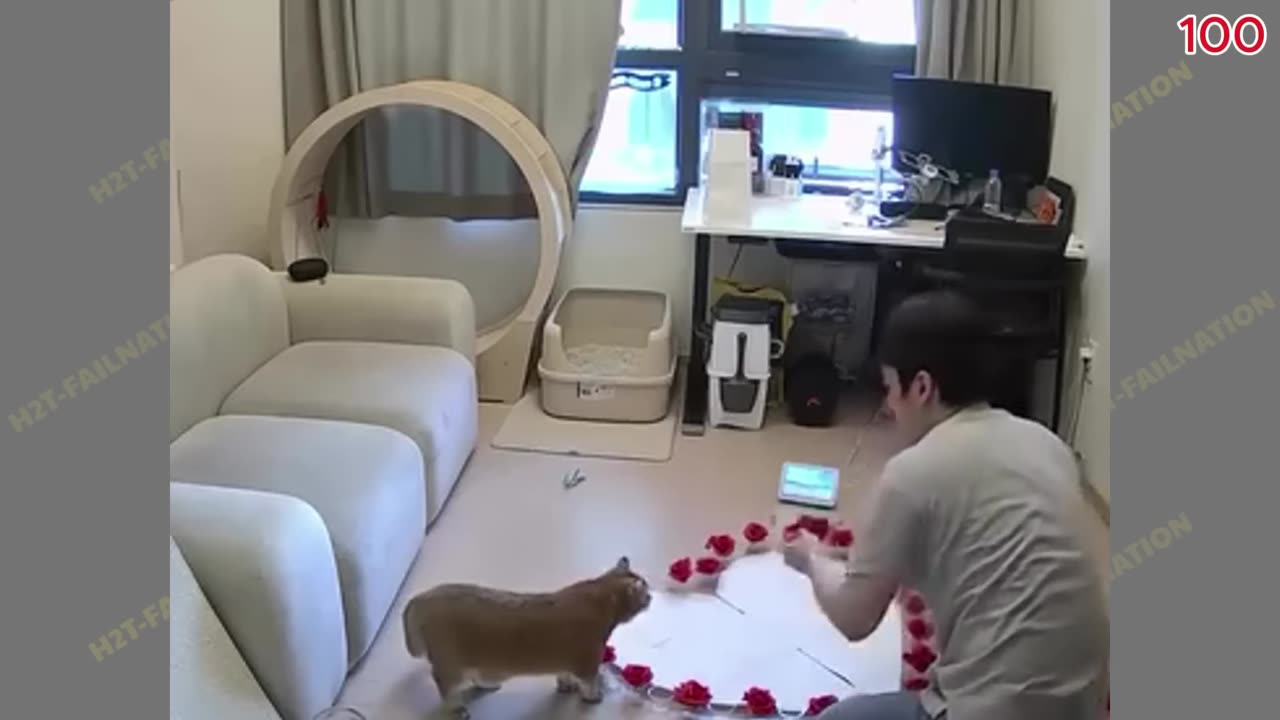 Top 100 Funniest Videos of All Time 😂😁 Try Not To Laugh || Memes Part 7