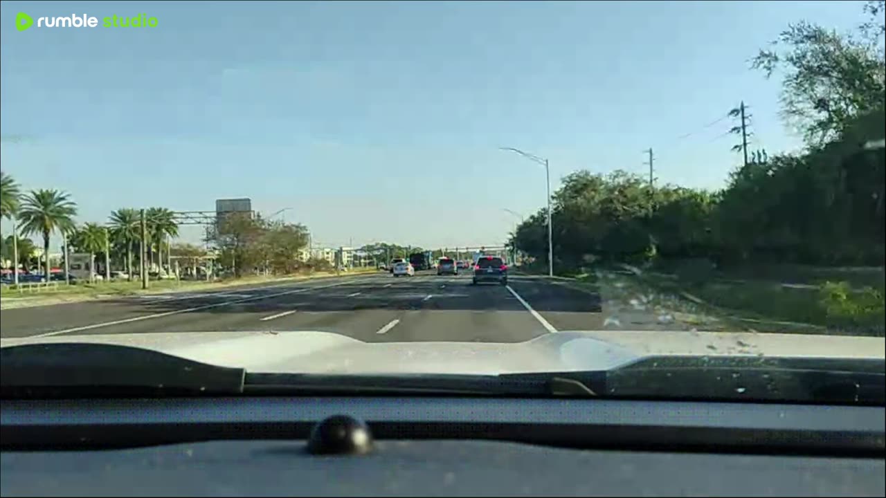 jumping off the skyway