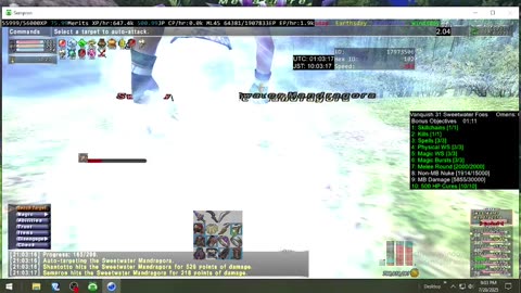 Playing Final Fantasy XI Online