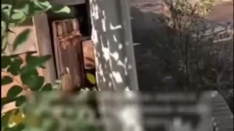 Intense Footage of A Ukrainian Soldier Getting the Drop on Infantry Group
