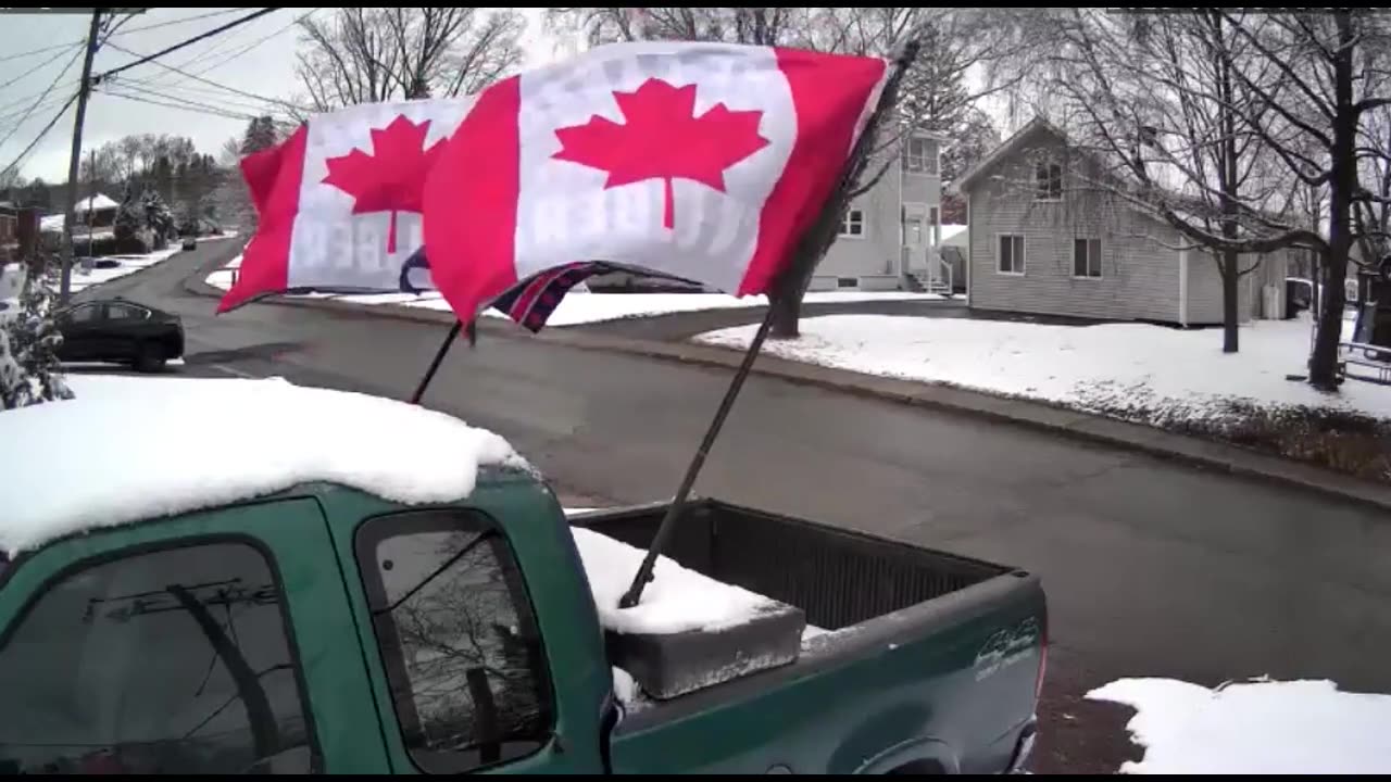 My new Flags