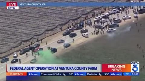 Federal agents & demonstrators clash during ICE raid at Ventura County, Calif. farm