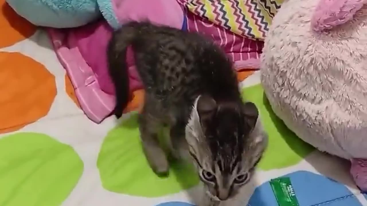 🤯🔥 You Won't Believe This Rebellious Moment! | FunFM