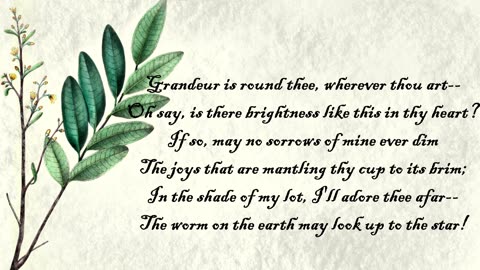 Ash Tree - The Language of Flowers