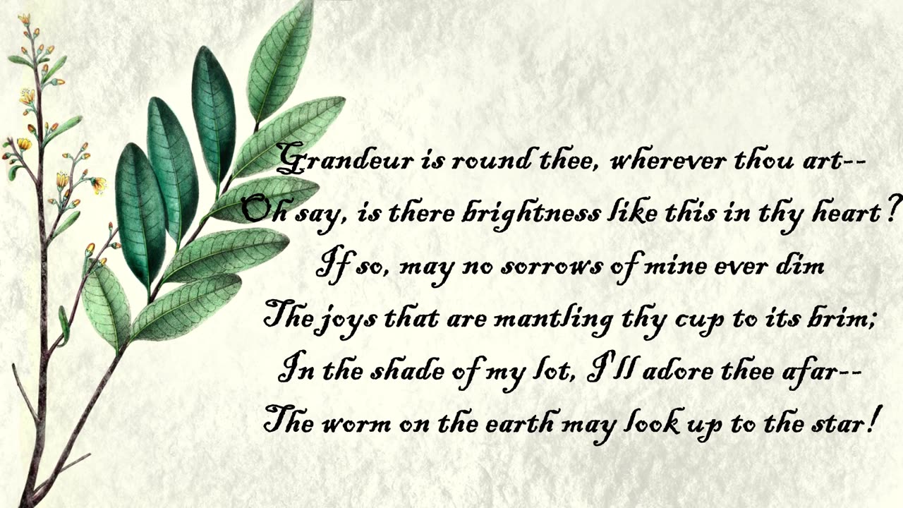 Ash Tree - The Language of Flowers