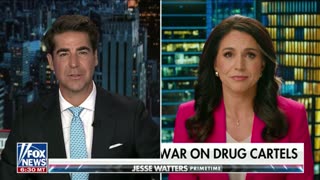 Tulsi Gabbard on Fighting Back Against Drug Cartels
