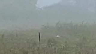 WOULD YOU HAVE THOUGHT IT WAS A GHOST?