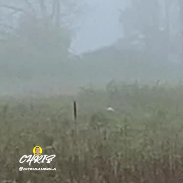 WOULD YOU HAVE THOUGHT IT WAS A GHOST?