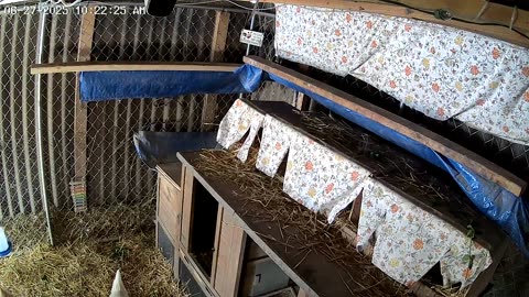 Lots Of Noise, But Little Activity!