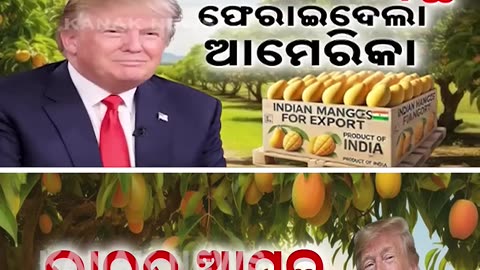 USA Returns Indian Mangoes: Traders Face ₹4 Crore Loss Donald Trump