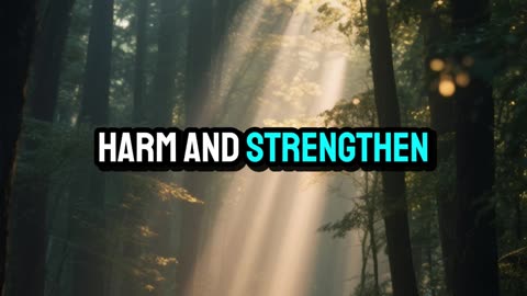 Morning Prayer for Calm and Direction