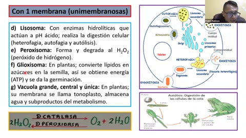 ADC SEMESTRAL PARALELO 2025 | Semana 03 | Biología