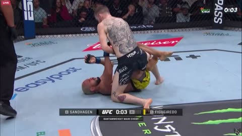Norse Bófi Recon: Globetards Still Think They Landed on Light? | UFC Talk + Waking Up Sheepels!