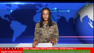 Oduu Waaree ONM-ABO Sadaasa 5-2025 itti dhiyaadhaa!