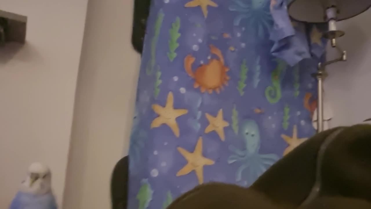 The Useful Daddeh Perch...