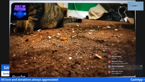 12/03/25 Sammannyc VOD: "we back $2 tts $ 3 media"