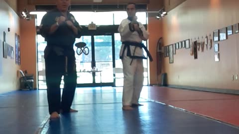 Hapkido