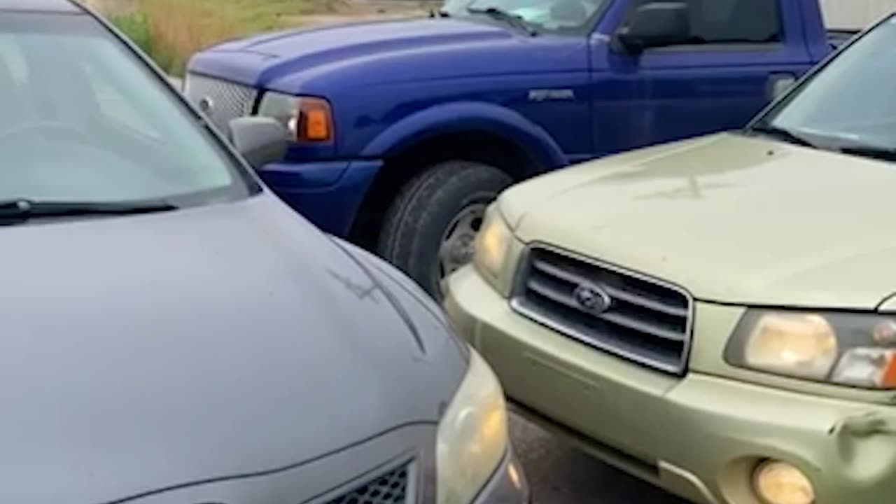 Roman vs. Cars!