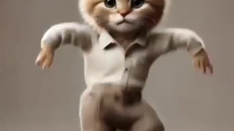 smart-cat-dance-cat-animaldance-petdance_