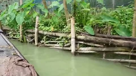Modern Underwater Fishing