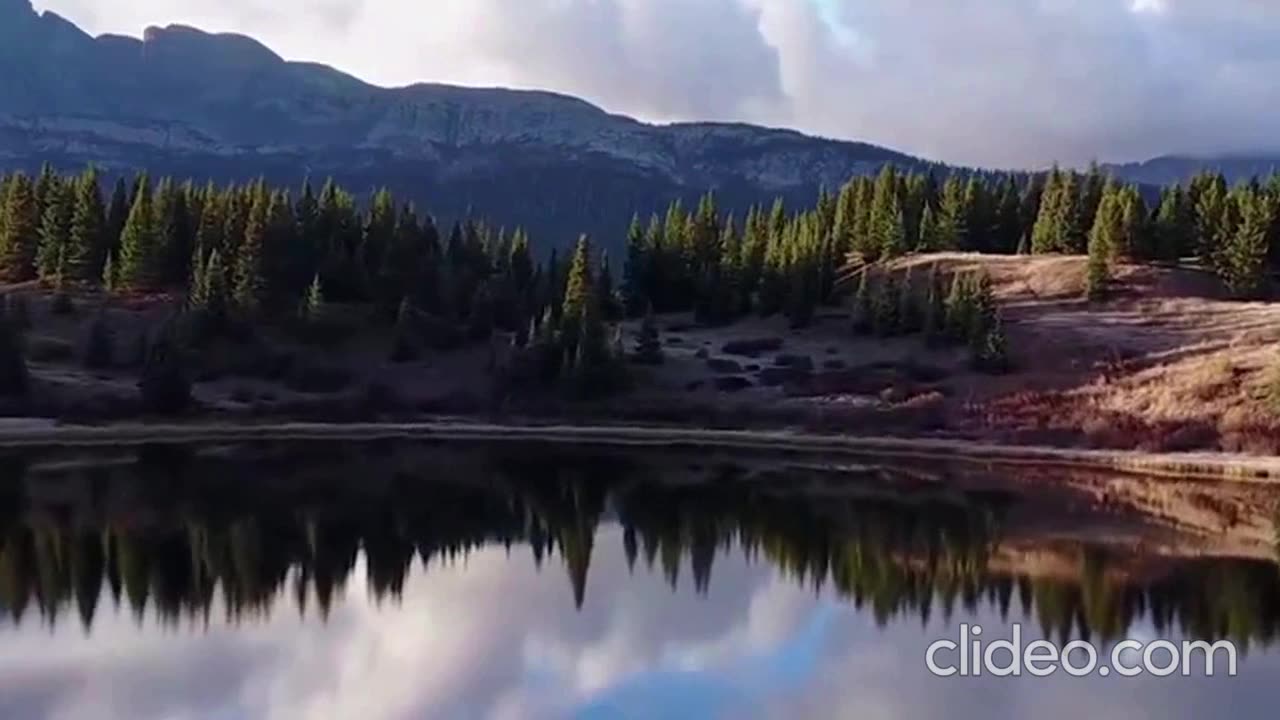 STALLEY - 10Percent (VIDEO)