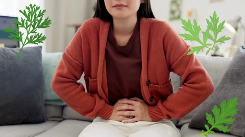 Ngải Cứu Điều Hòa Kinh Nguyệt – Bí Quyết Tự Nhiên Cho Chị Em | Dược Bình Đông