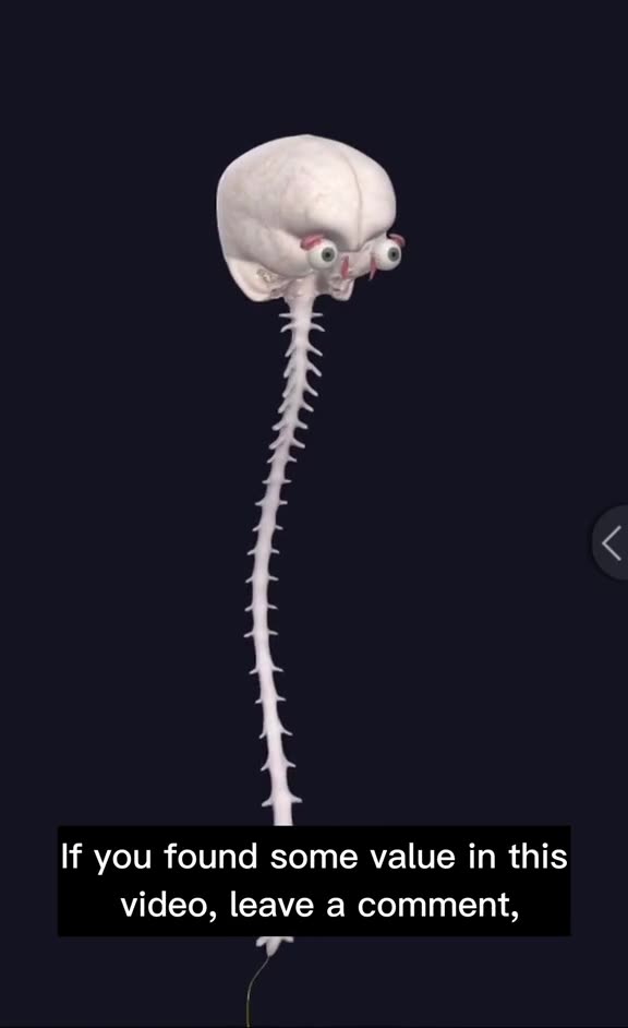 We are electronic beings