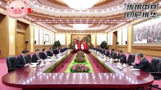 20240401 #习近平 印度尼西亚 总统 #普拉博沃（ #苏哈托 女婿，任职中将时，一手策划 #排华 暴乱）会谈。
