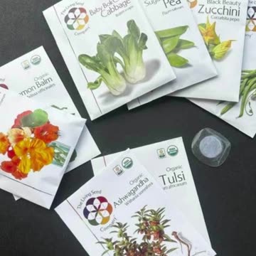 Planting Seeds for Your Future