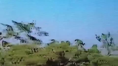 Military Tribunals - They have been going on for years!