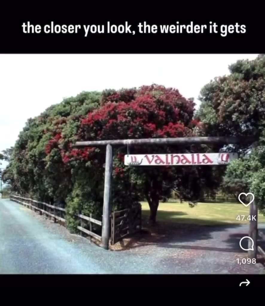 Charlie Kirk, Tyler Johnson, Kash Patel all in it.