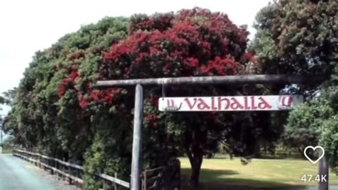 Charlie Kirk, Tyler Johnson, Kash Patel all in it.